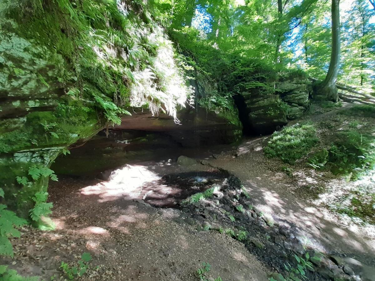 Appartement Gemuetliche Am Felsenwanderweg *