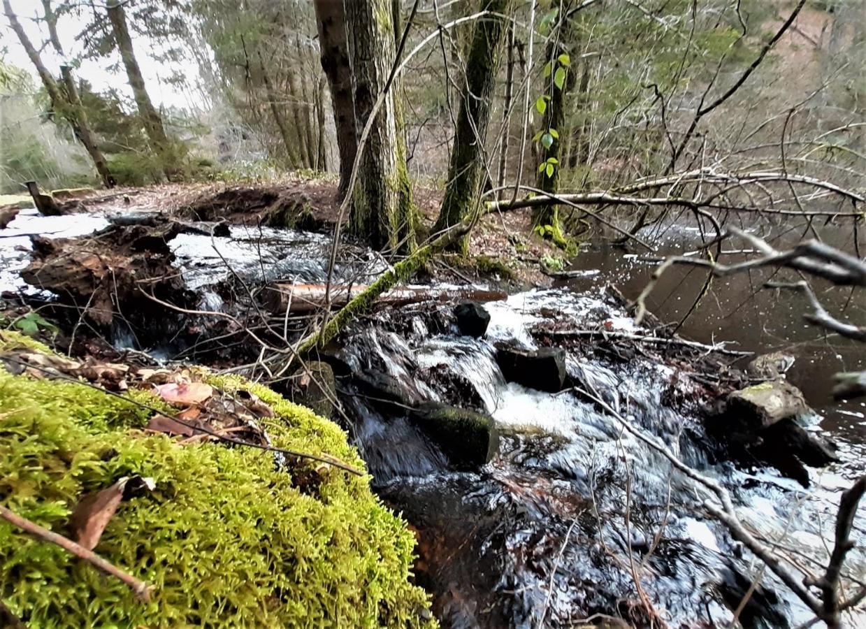 Gemuetliche Am Felsenwanderweg *
