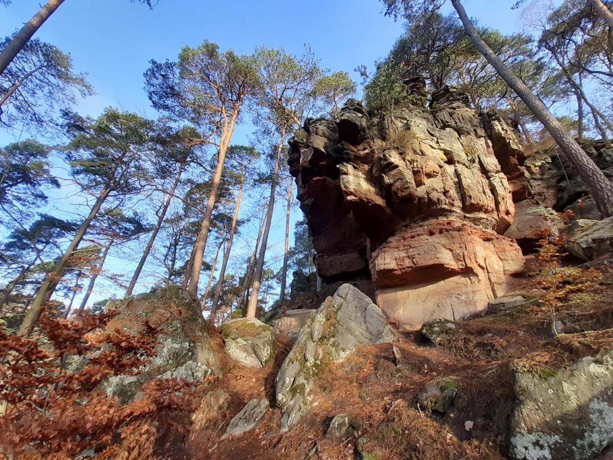 Gemuetliche Am Felsenwanderweg Appartement