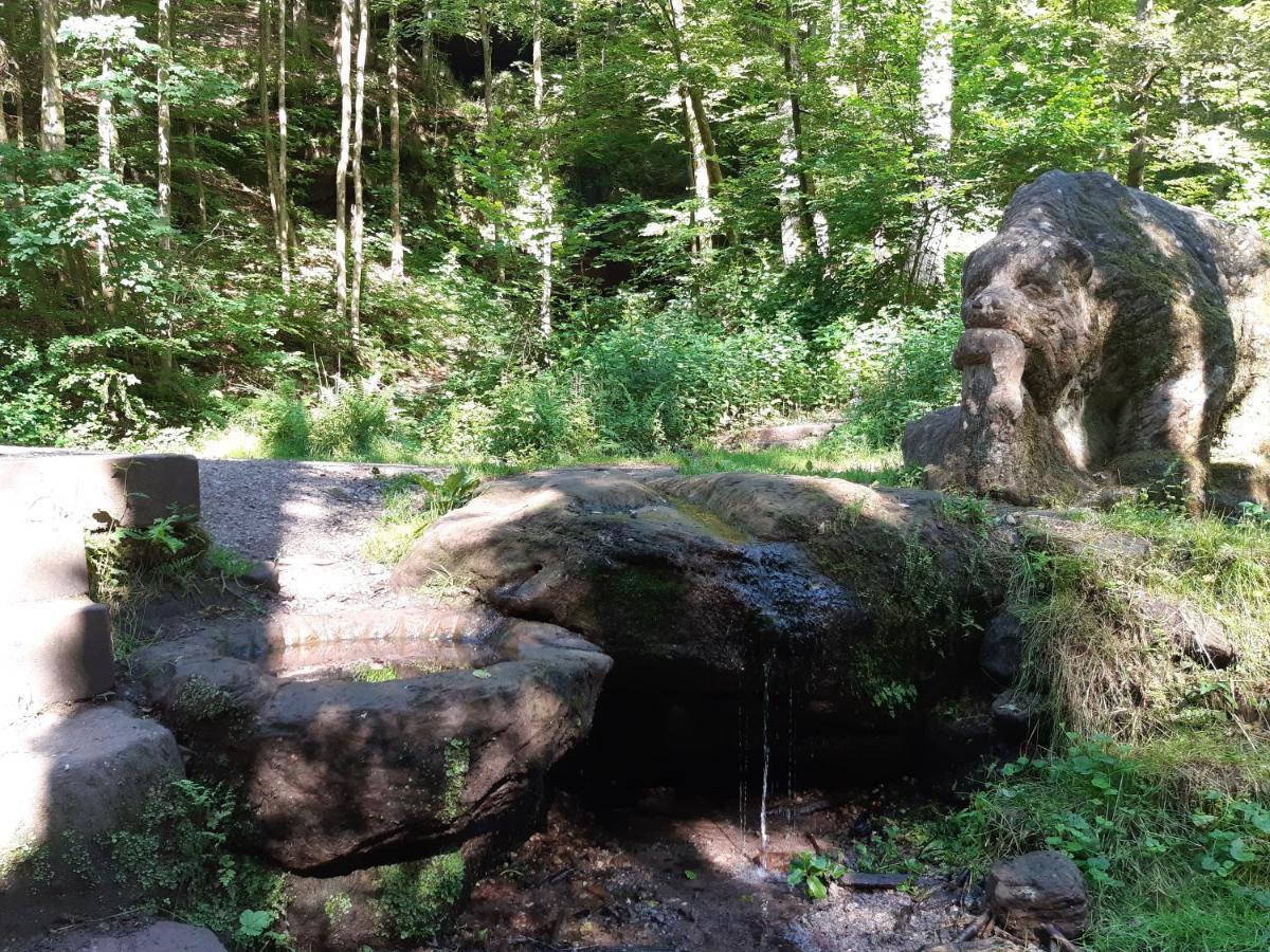 Appartement Gemuetliche Am Felsenwanderweg *